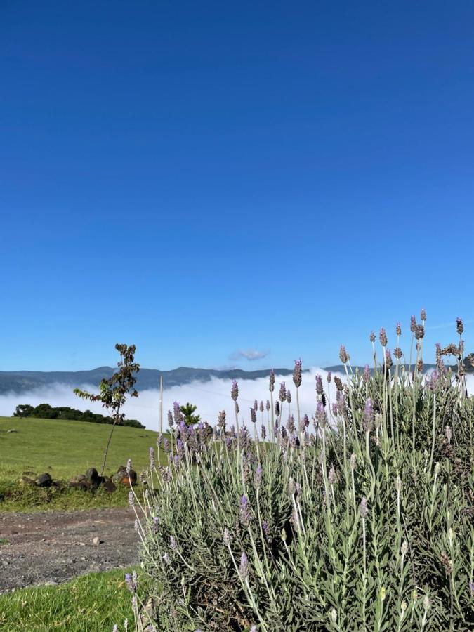 Pousada Colina Dos Ventos - Cabana Alpha อูรูบิซิ ภายนอก รูปภาพ